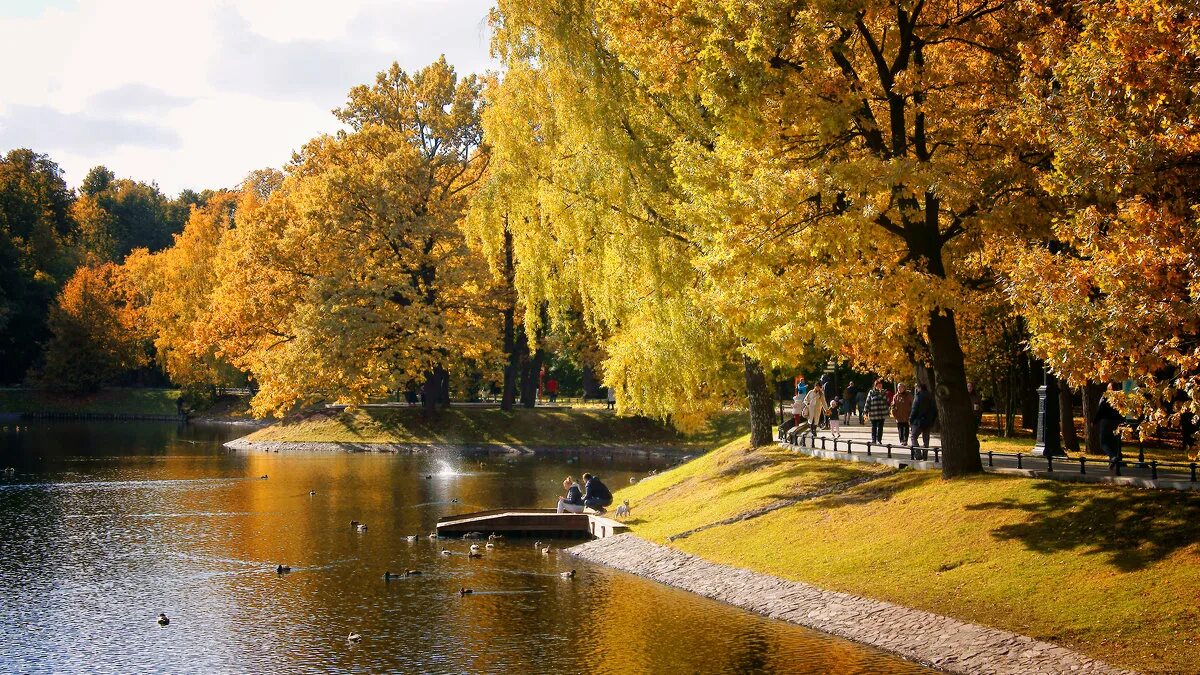московский парк победы осенью. осенний парк москва. парк царицыно пейзаж. парк царицыно осенью. осенние парки.
