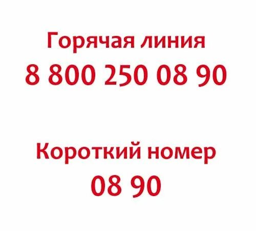 мтс горячая линия. техподдержка мтс. горячая линия мтс оператор. мтс тула телефон горячей линии. мтс интернет горячая линия.