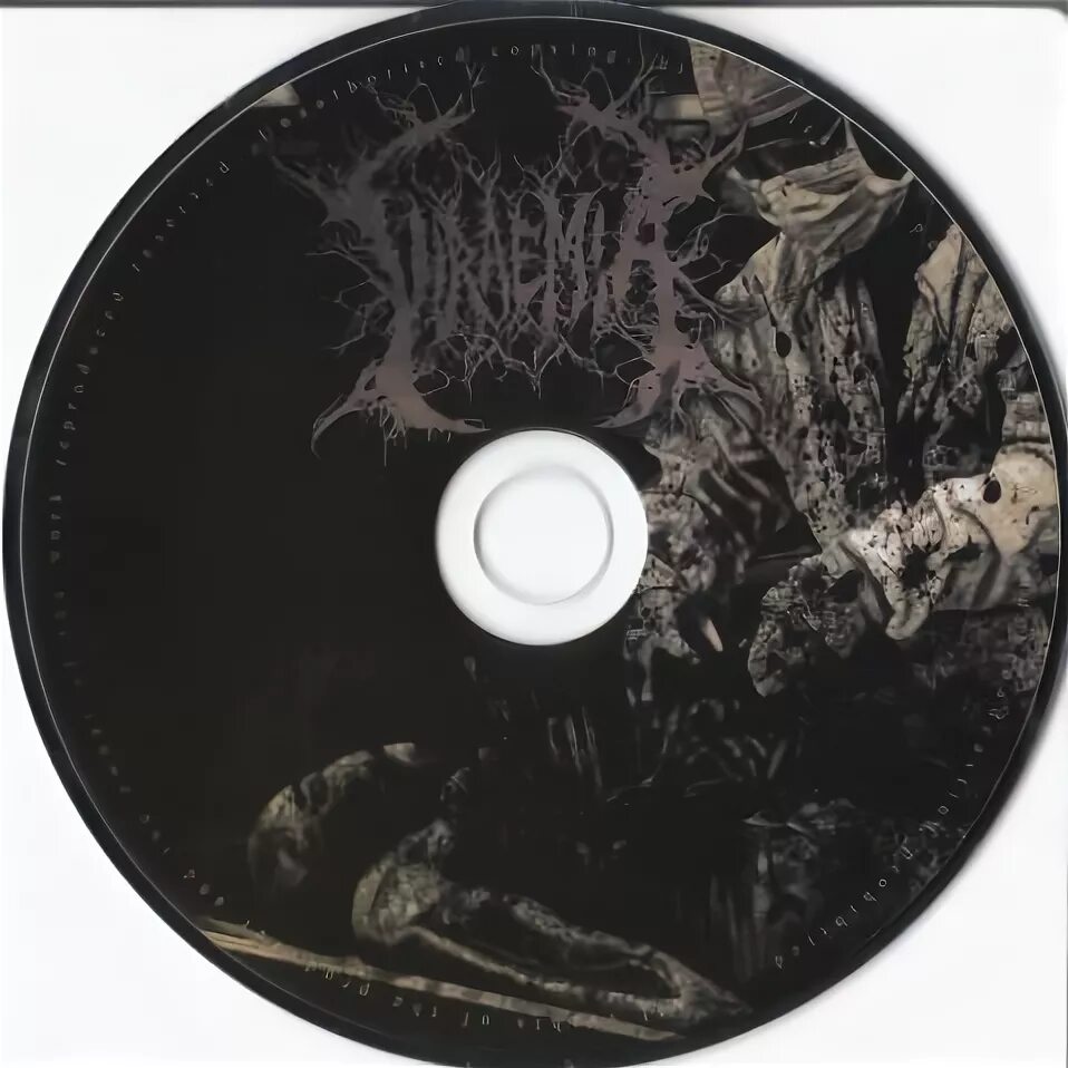Scan cd. Om nord остафик cd scan. ihate scans cd. band offenders cd scan. protest the hero kezia cd scans.