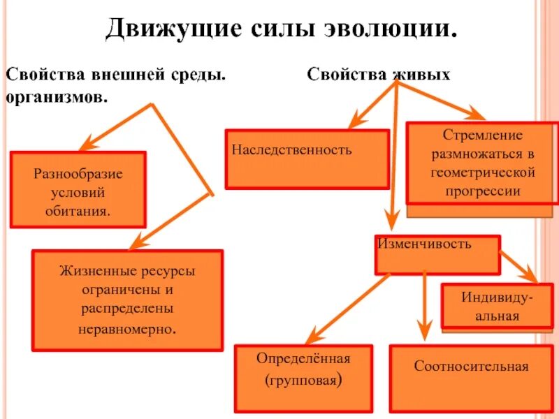 Виды эволюции движущие. Основные движущие силы эволюции. Основные движущие силы эволюции по Дарвину. Движущие силы эволюции животных.