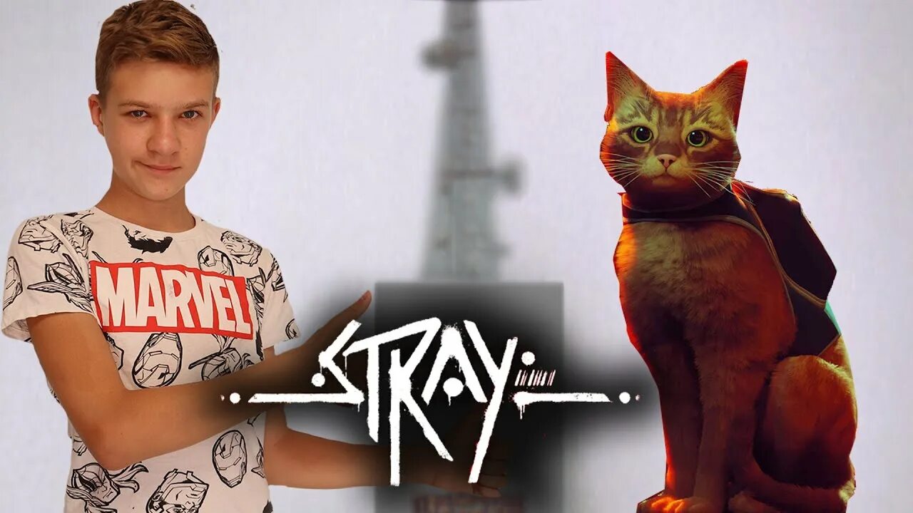 Тима кэт. Аутсайдеры Stray. Супер Тима. Super tima games. Зурк Stray.