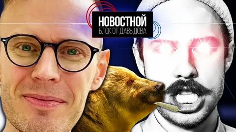 Science bear