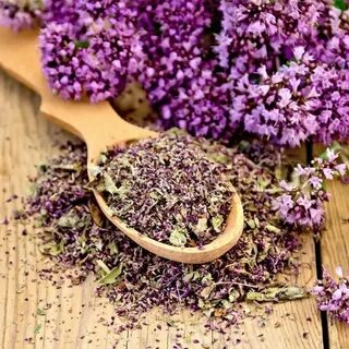 Чем полезен чабрец для организма в чае