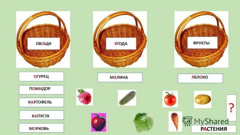 Словарные слова на тему овощи и фрукты. Словарные слова овощи фрукты ягоды. Словарные слова на тему овощи. Ребус овощи для детей. Словарные овощи