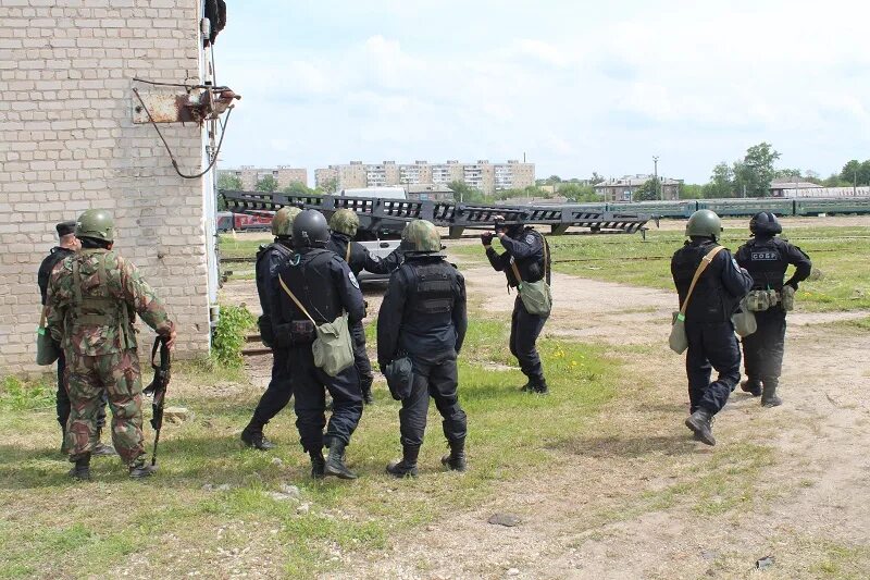 Операция сигнал