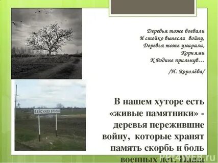 Деревья тоже болеют поэтому за ними необходим