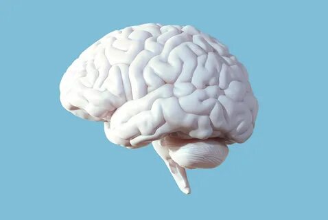 Into brain