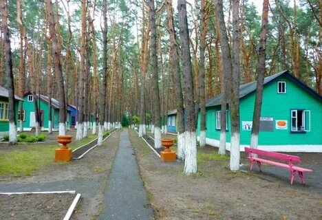 Лагерь им в