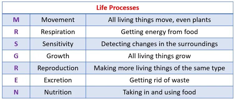 Processes of Life. Seven Life process. All Life processes. Life process: Mrs Green.