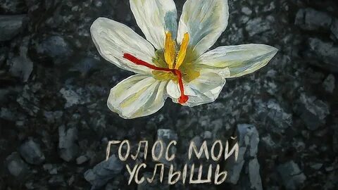 Голос мой услышь баста три дня дождя