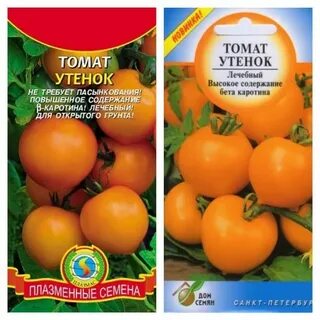 Томат утенок отзывы