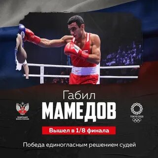 Габил мамедов блоггер