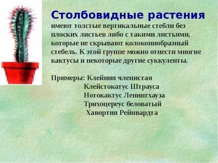 Столбовидные корни
