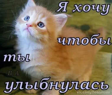 Картинка с надписью не грусти