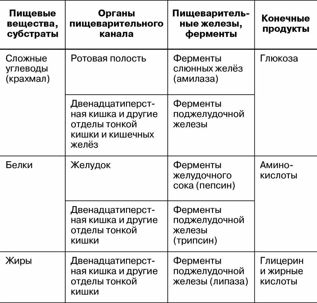 Органы пищеварения ферменты. Ферменты расщепляющие белки жиры углеводы таблица. Строение и функции пищеварительной системы таблица. Пищеварительная система таблица 8 класс биология. Схема функции белков и углеводов.