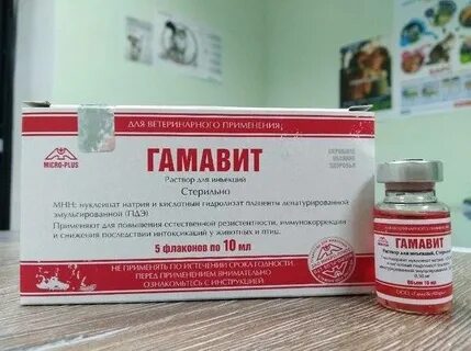Гамавит для собак инструкция по применению
