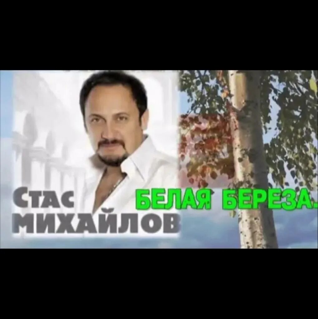 Белая береза песня стаса. Михайлов белая береза. Белая берёза песня стас михайлов. Береза я тебя люблю. Белая береза песня стаса.