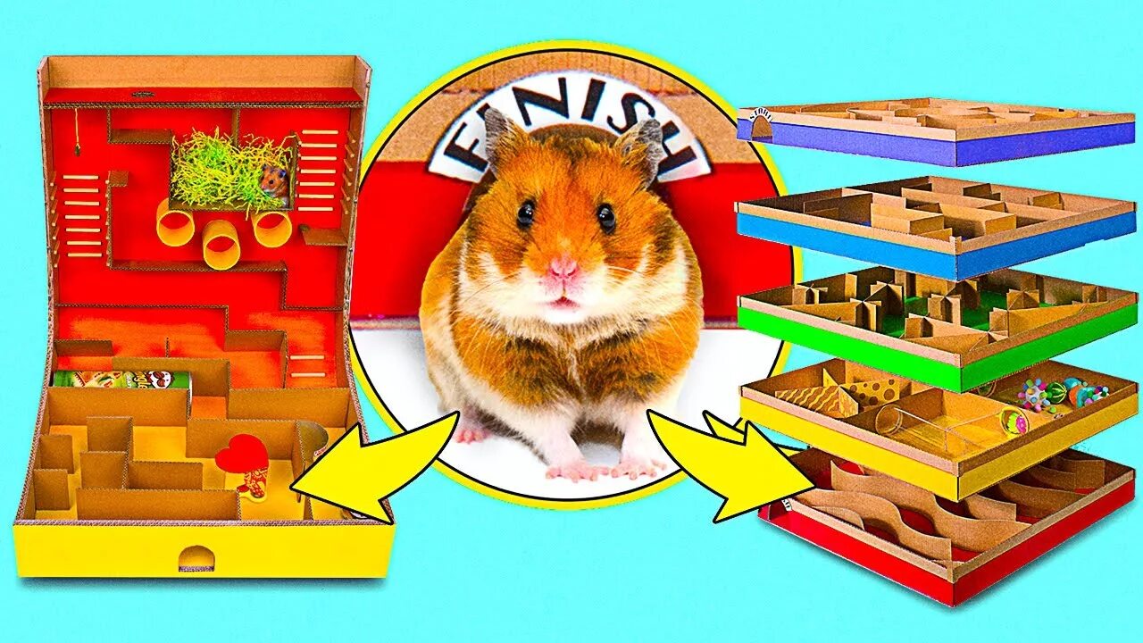 Слайм сэм лабиринты для хомяков. Hamster Maze игра. Hamster Maze игра пузыри. Hamster Race. Hamster Maze как играть.