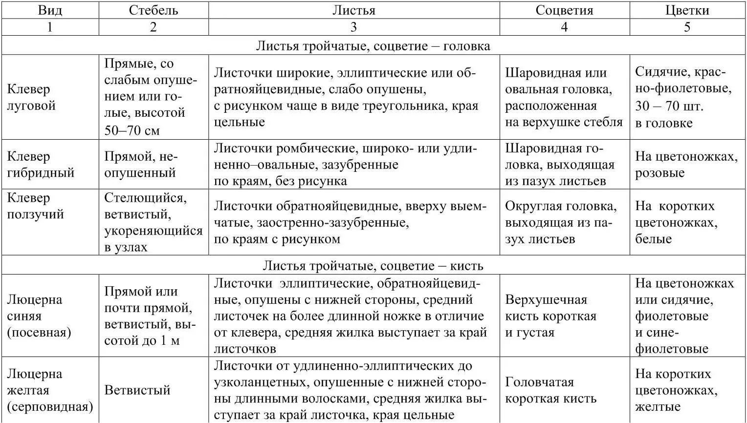 Черты различия клевера ползучего и клевера. Сравнение клевера Лугового и ползучего таблица. Клевер Луговой и Клевер ползучий сравнение таблица. Таблица признак для сравнения Клевер Луговой Клевер ползучий. Сравнительная характеристика клевера Лугового и ползучего.