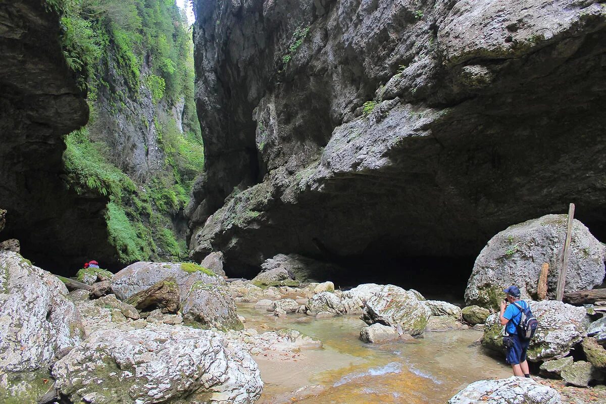 природный парк мурадымовское ущелье пещера новомурадымовская. пещера ущелье. монахова пещера мезмай. монахова пещера гуамское ущелье. даховская пещера адыгея.