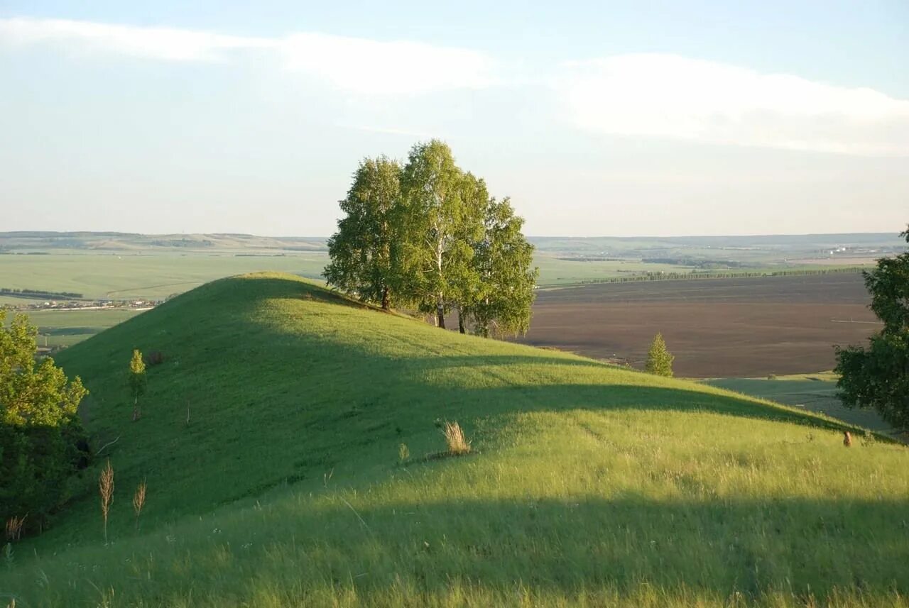 Середина холма. Гора Чатыр Тау Татарстан. Гора Чатыр Тау в Азнакаево. Гора Чатыр-Тау - самая высокая точка Татарстана. Чатыр гора Тау Татарстан высота.