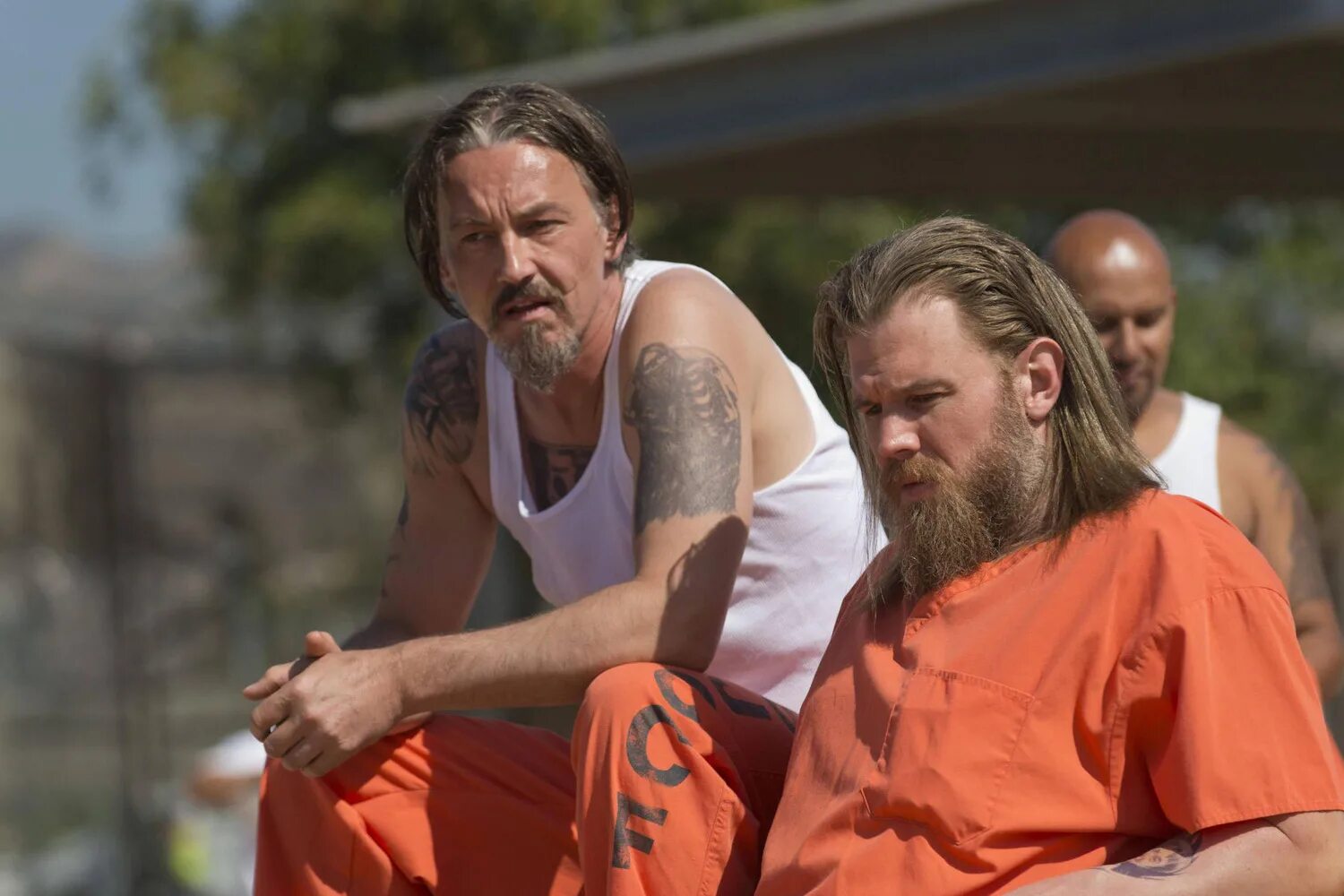 Аниме панк. Рыжий сыны анархии без бороды. Рыжий сыны анархии актер. Райан херст сыны анархии. Райан херст сыны анархии.