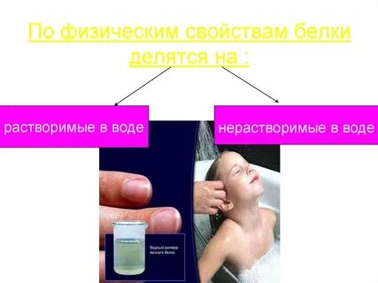 Яичный белок растворяется в воде