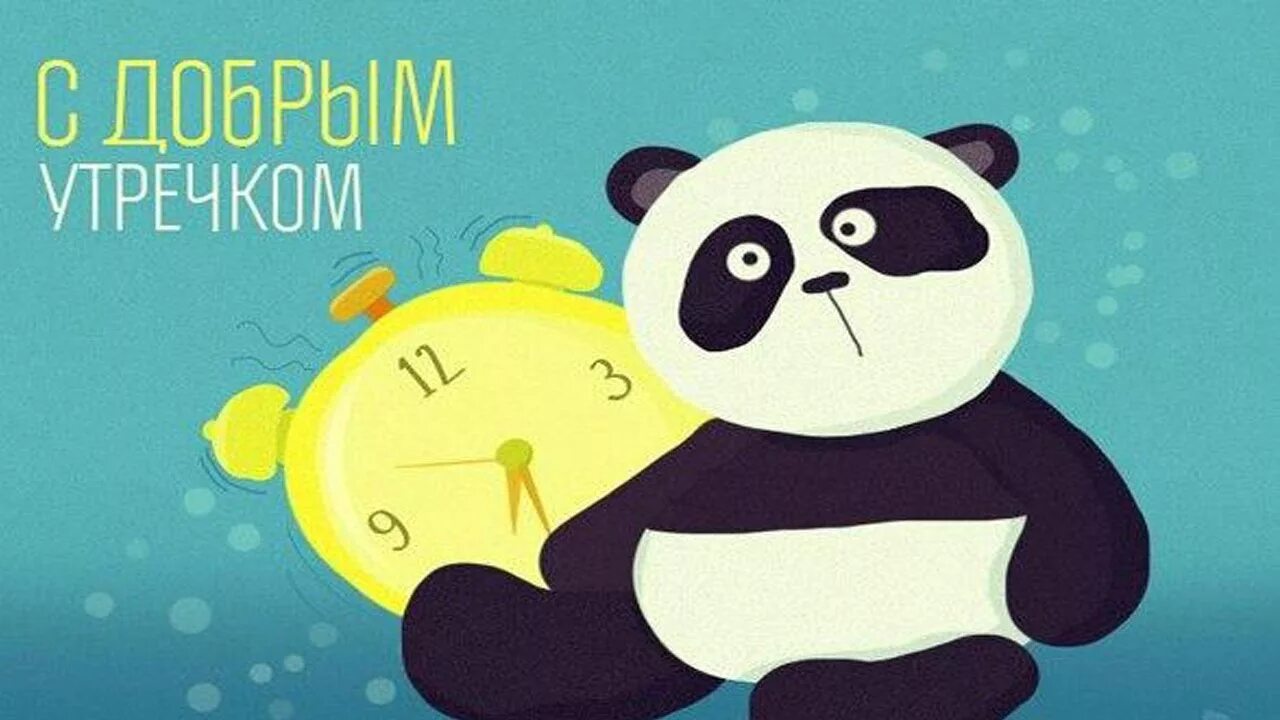 С добрым утром панда. Открытки с добрым утром с пандой. Добрая панда. Цифровой художник лорри kajenna кайенна. Доброе утро пандочка.
