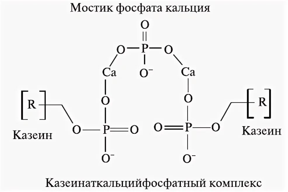 Фосфат кальция какая связь. Казеин формула структурная. Казеин кальций фосфатный комплекс. Козеинаткальцмй фосфвтный комплекс. Казеин формула химическая.