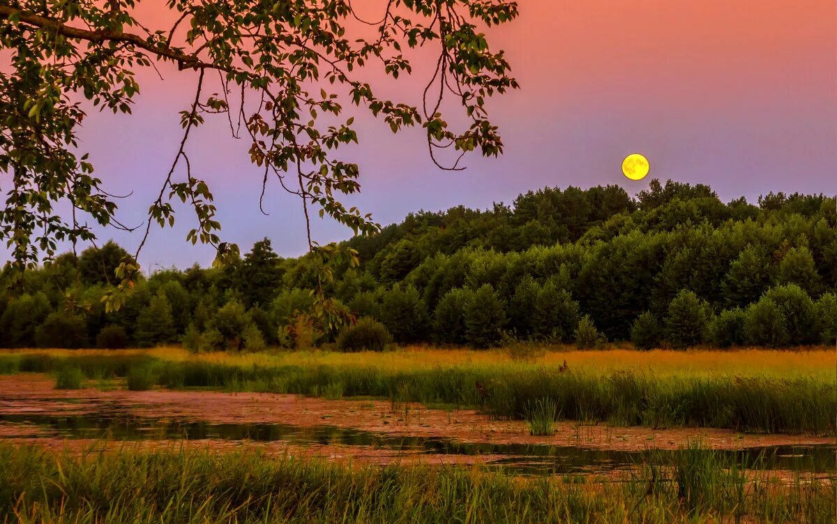 последняя ночь. летние ночи прощайте короче. последняя ночь года картинки. последняя ночь лета. август закат лета картинки прикольные.