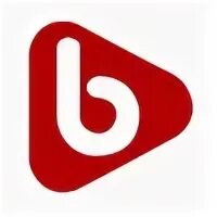 Bzone. Bzone