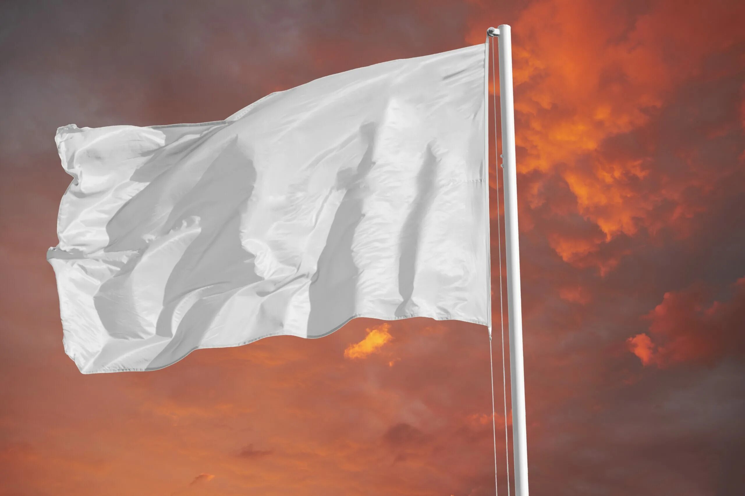 Белый флаг капитуляции. Белые флаги. Флаг на ветру. Белый флаг перемирия. Флаг переговоров