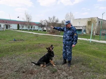 Кинолог барнаул
