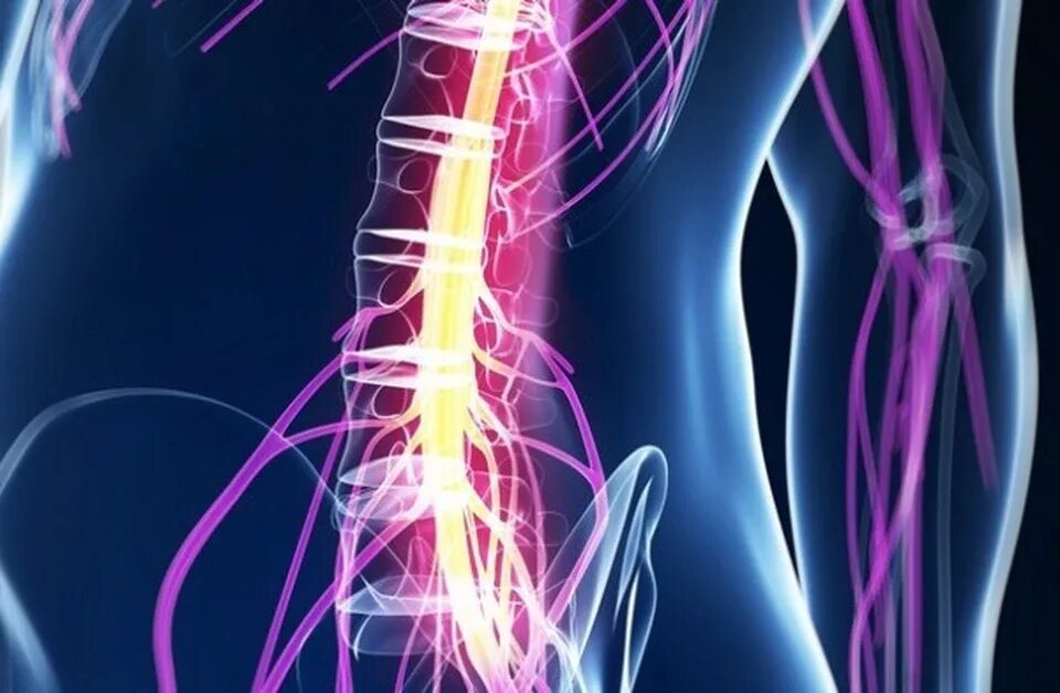 Повреждение позвоночника и спинного мозга. Сотрясение позвоночника. Травма позвоночника и спинного мозга неврология.