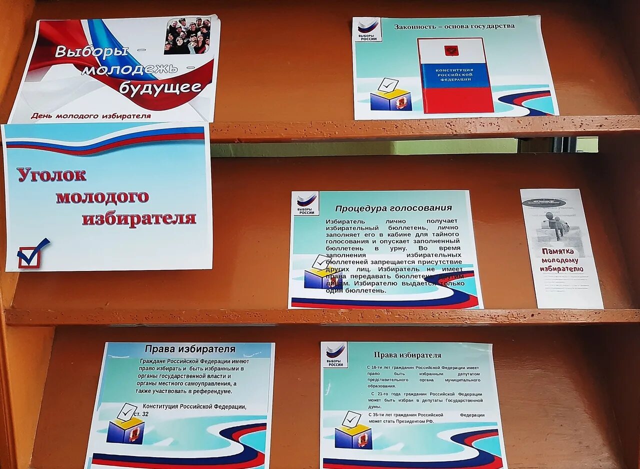 Выставка по избирательному праву в библиотеке. Книжная выставка выборы. Выставка к выборам в библиотеке. Книги ко дню молодого избирателя. Выставка ко дню молодого избирателя.