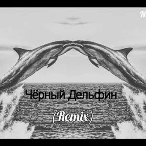 Гио пика Дельфин. Черный Дельфин Гио. Пика черный Дельфин. Гео пика черный Дельфин. Фантанчик с черным ремикс