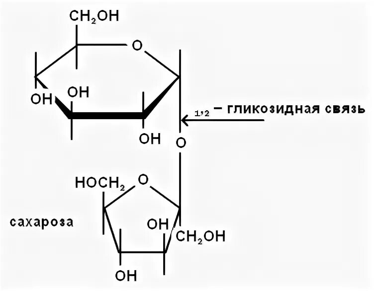 Связь 4 гликозидная. Гликозидная связь в дисахаридах. Сахароза Тип гликозидной связи. Гликозидная связь у моносахаридов. Бетта н гликозидная связь.