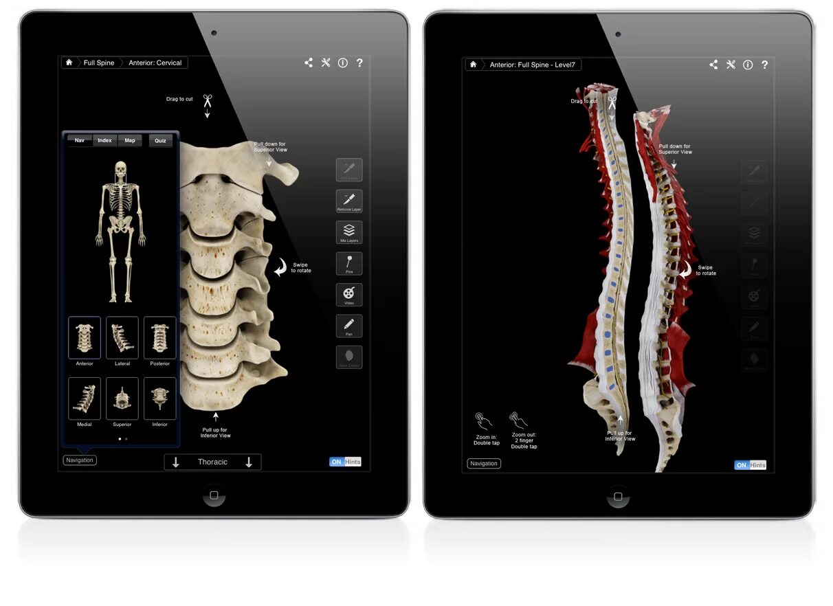 Spine emulator. Spine интерфейс. spine pro программа. программа spine позвоночник. spine esoteric.