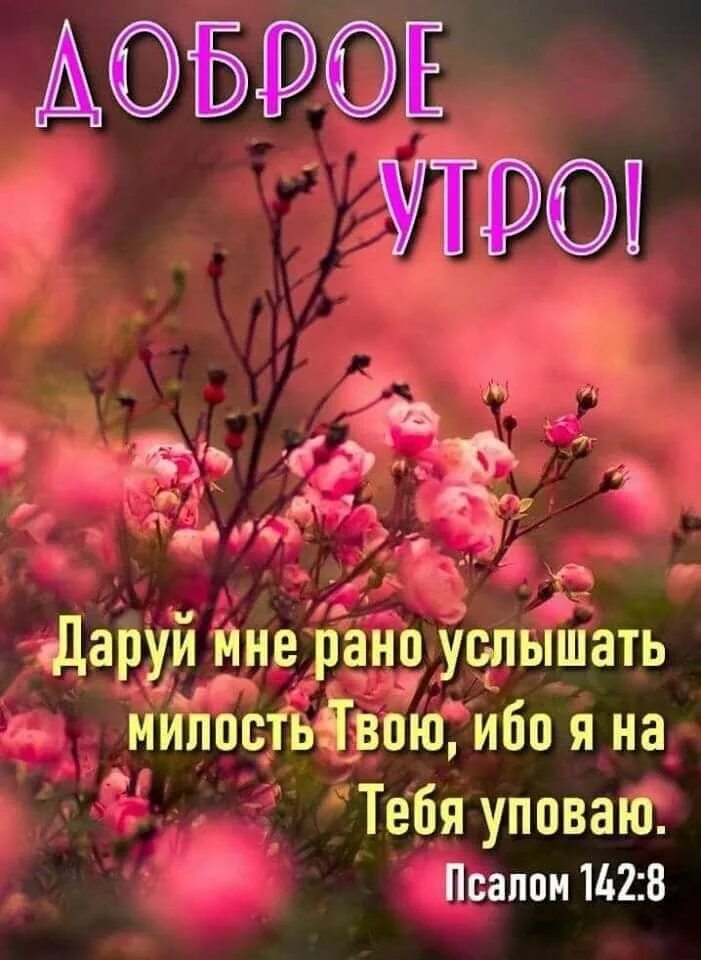 Добрых благословений в новом дне. Христианские пожелания. Благословений в новом дне. Христианские пожелания доброго утра. День благословения открытки.