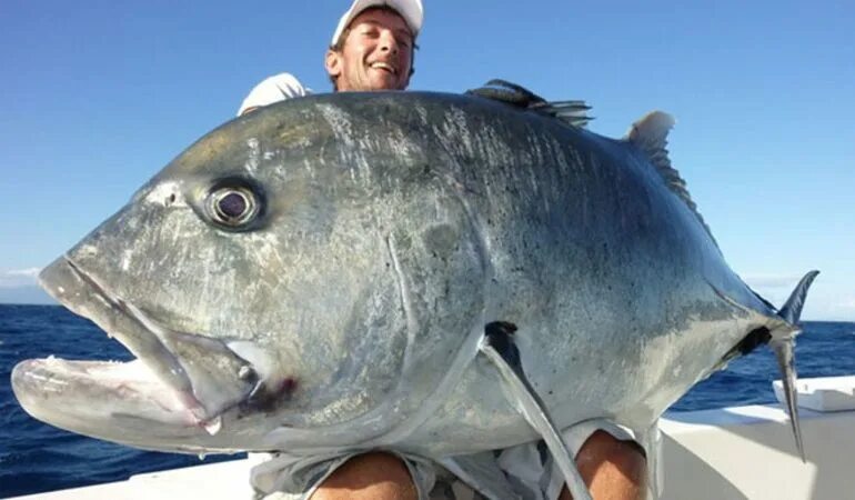 девушка с красивым маникюром. маникюр на миндальную форму. сухой маникюр. к чему снятся ногти женщине. красивые ухоженные ногти.