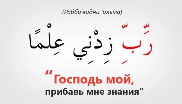 Рабби яссир