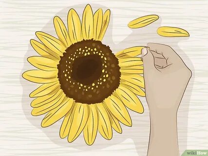 Как пройти уровень лепестки подсолнуха life gallery