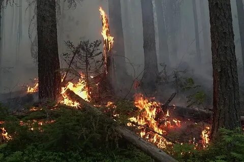 Очаги природных пожаров