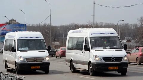Автобус маршрут белая