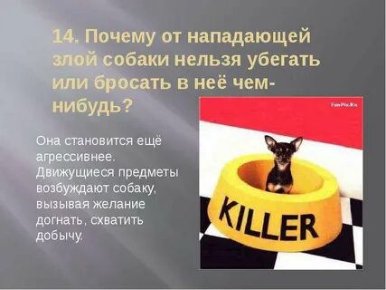 Зачем 14
