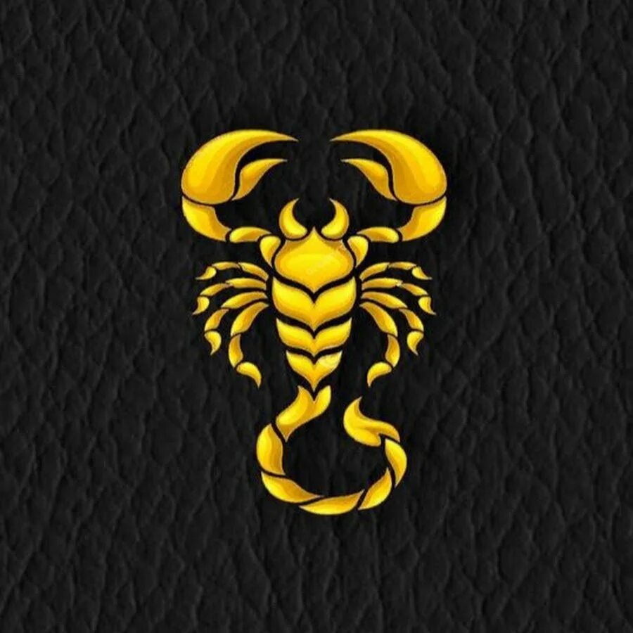 Голова льва тело скорпиона. Скорпион. Скорпион на аву. Золотой Скорпион. Скорпион логотип.