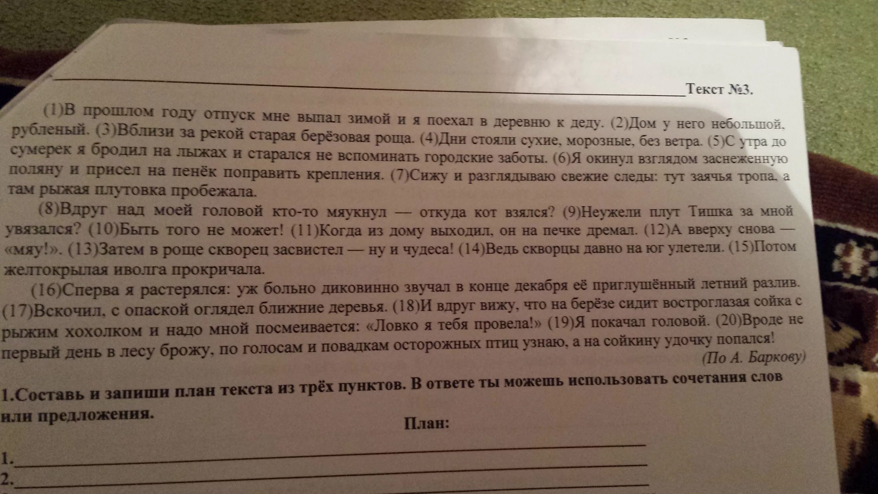 Основная мысль текста это. Основа мысль текста зимние. Задания по тексту основная мысль текста. Главная мысль текста Лесные дома. Основная мысль текста у нас есть святыня