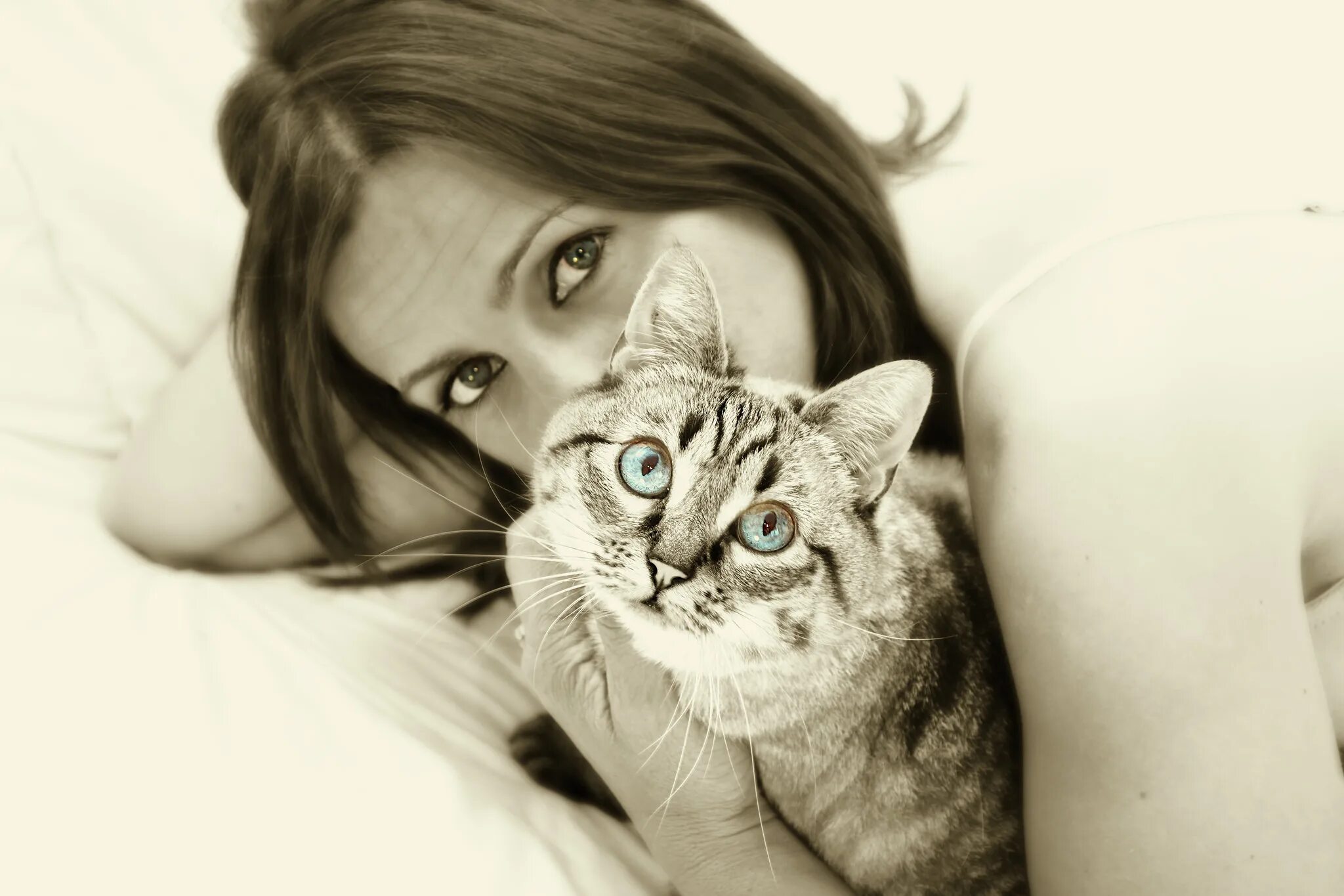 Девушка котик картинки. Девушка с котом. кот лежит на девушке. девушка и кот картинки. девушка с кошачьей мордой.