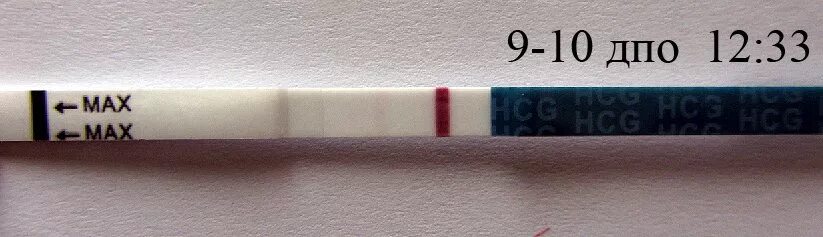 Эвик,12 дпо,надежда не покидает.... - 12 ответов форум Babyblog