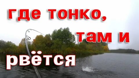 Где тонко там